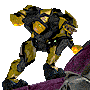 eliteboarding.gif
