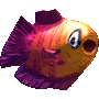 soffish.gif