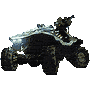 warthog-002.gif